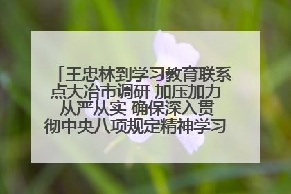 王忠林到学习教育联系点大冶市调研 加压加力 从严从实 确保深入贯彻中央八项规定精神学习教育取得实效