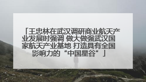 王忠林在武汉调研商业航天产业发展时强调 做大做强武汉国家航天产业基地 打造具有全国影响力的“中国星谷”