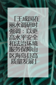 王成国在丽水调研时强调：以更高水平安全和法治环境服务保障山区海岛县高质量发展