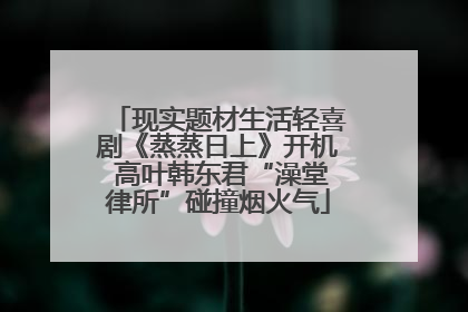 现实题材生活轻喜剧《蒸蒸日上》开机 高叶韩东君“澡堂律所”碰撞烟火气