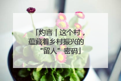 灼言｜这个村，蕴藏着乡村振兴的“留人”密码