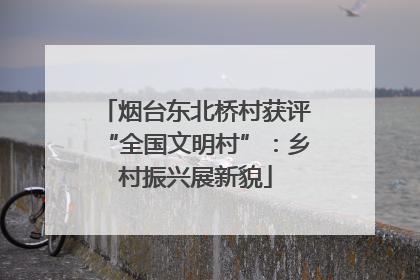 烟台东北桥村获评“全国文明村”：乡村振兴展新貌