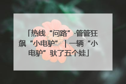 热线“问路”·管管狂飙“小电驴”｜一辆“小电驴”驮了五个娃