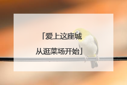 爱上这座城 从逛菜场开始