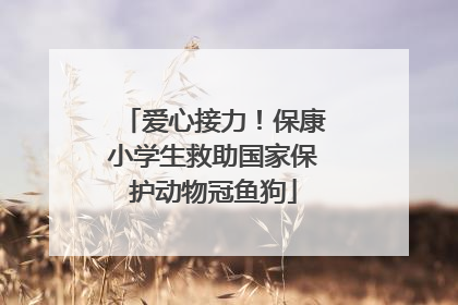 爱心接力！保康小学生救助国家保护动物冠鱼狗
