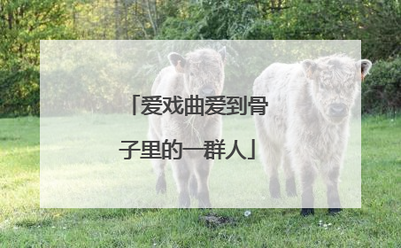 爱戏曲爱到骨子里的一群人