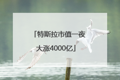 特斯拉市值一夜大涨4000亿