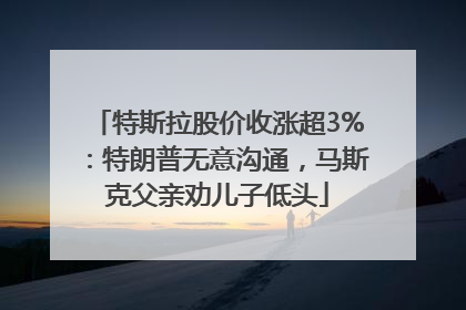 特斯拉股价收涨超3%：特朗普无意沟通，马斯克父亲劝儿子低头