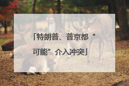 特朗普、普京都“可能”介入冲突