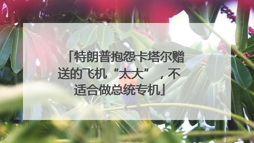 特朗普抱怨卡塔尔赠送的飞机“太大”，不适合做总统专机