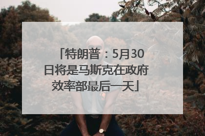特朗普：5月30日将是马斯克在政府效率部最后一天