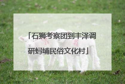 石狮考察团到丰泽调研蟳埔民俗文化村
