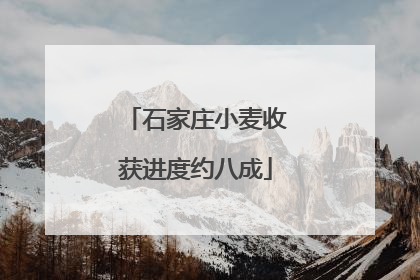 石家庄小麦收获进度约八成