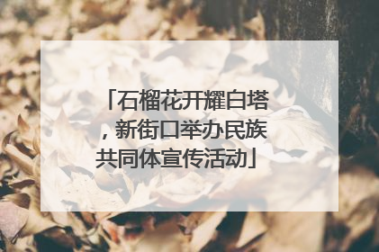 石榴花开耀白塔，新街口举办民族共同体宣传活动