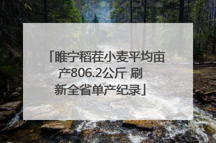 睢宁稻茬小麦平均亩产806.2公斤 刷新全省单产纪录