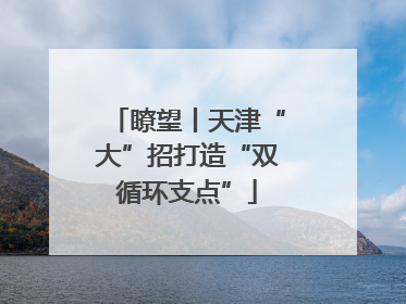 瞭望丨天津“大”招打造“双循环支点”
