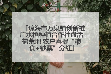 琼海市万泉镇创新推广水稻种植合作社盘活撂荒地 农户喜提“粮食+钞票”分红