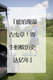 琥珀现最古虫草！寄生蚂蚁历史达亿年