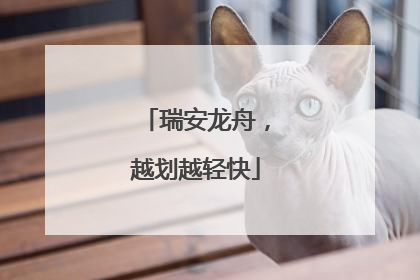瑞安龙舟，越划越轻快