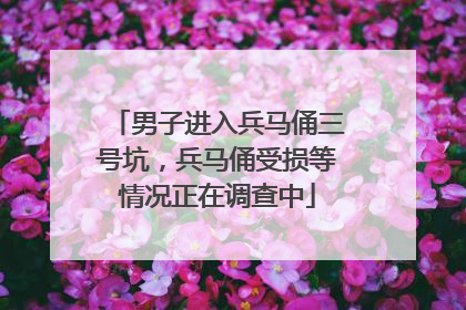 男子进入兵马俑三号坑，兵马俑受损等情况正在调查中