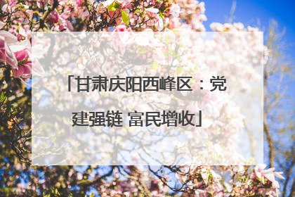 甘肃庆阳西峰区：党建强链 富民增收