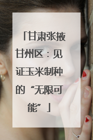 甘肃张掖甘州区：见证玉米制种的“无限可能”