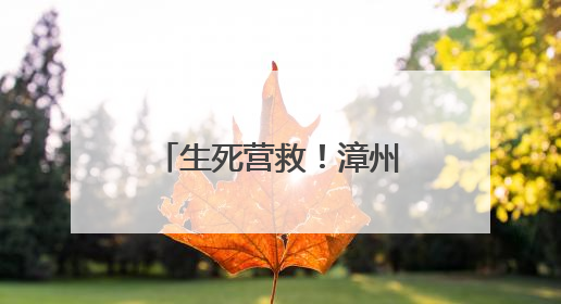 生死营救！漳州一女子厦门落水