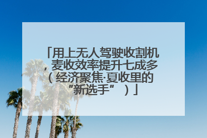用上无人驾驶收割机，麦收效率提升七成多（经济聚焦·夏收里的“新选手”）
