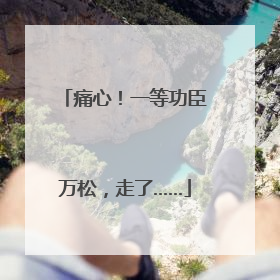 痛心！一等功臣万松，走了……