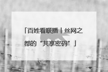 百姓看联播丨丝网之都的“共享密码”