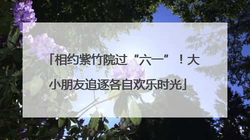 相约紫竹院过“六一”！大小朋友追逐各自欢乐时光