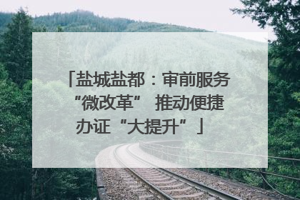 盐城盐都：审前服务“微改革” 推动便捷办证“大提升”