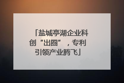盐城亭湖企业科创“出圈”，专利引领产业腾飞