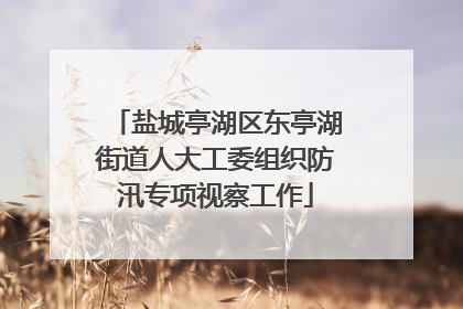 盐城亭湖区东亭湖街道人大工委组织防汛专项视察工作