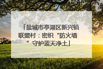 盐城市亭湖区新兴镇联盟村：密织“防火墙”守护蓝天净土