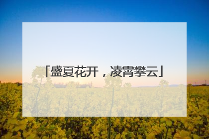 盛夏花开，凌霄攀云