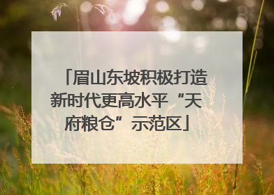眉山东坡积极打造新时代更高水平“天府粮仓”示范区