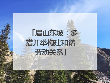眉山东坡：多措并举构建和谐劳动关系