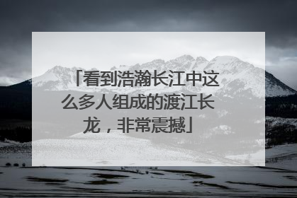 看到浩瀚长江中这么多人组成的渡江长龙，非常震撼