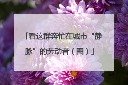 看这群奔忙在城市“静脉”的劳动者（图）