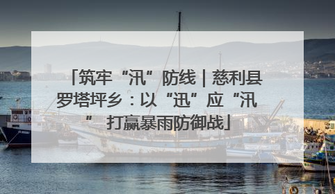 筑牢“汛”防线｜慈利县罗塔坪乡：以“迅”应“汛” 打赢暴雨防御战