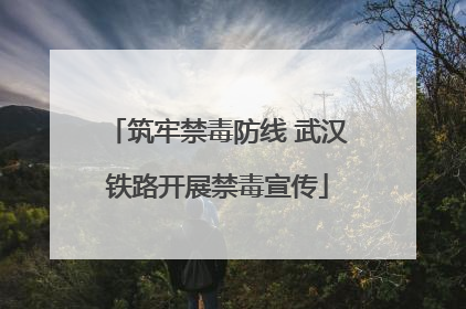 筑牢禁毒防线 武汉铁路开展禁毒宣传