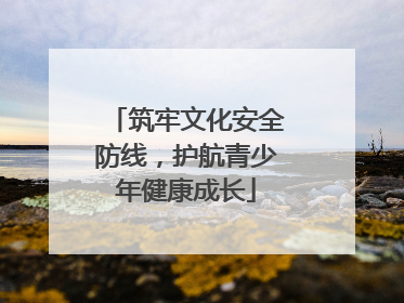 筑牢文化安全防线，护航青少年健康成长