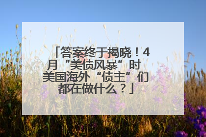 答案终于揭晓！4月“美债风暴”时 美国海外“债主”们都在做什么？