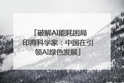 破解AI能耗困局 印裔科学家：中国在引领AI绿色发展