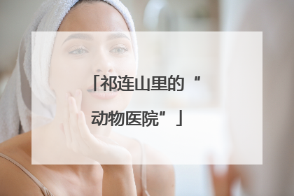 祁连山里的“动物医院”
