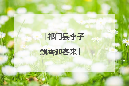 祁门县李子飘香迎客来