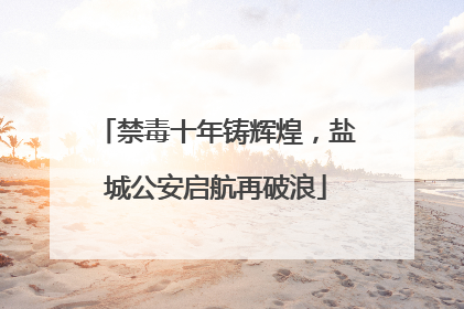 禁毒十年铸辉煌，盐城公安启航再破浪