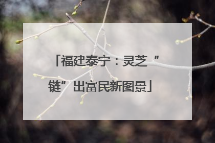 福建泰宁：灵芝“链”出富民新图景