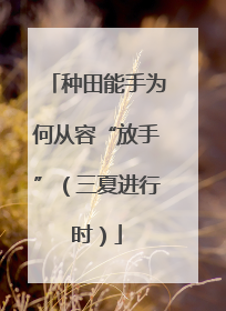 种田能手为何从容“放手”（三夏进行时）